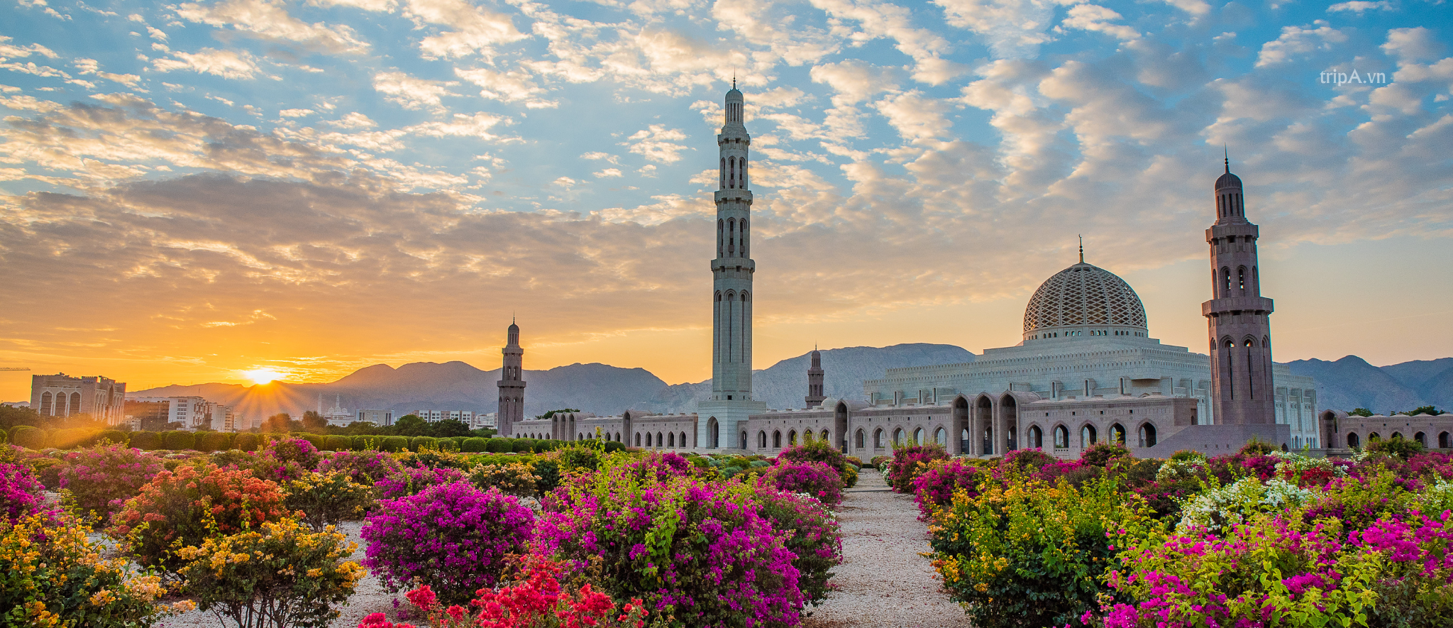 oMAN